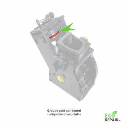 Kit Entretien Groupe Café Philips Saeco Gaggia